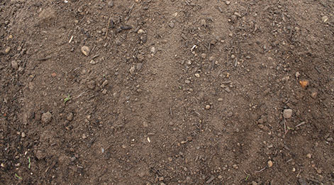 Image of Quality Topsoil